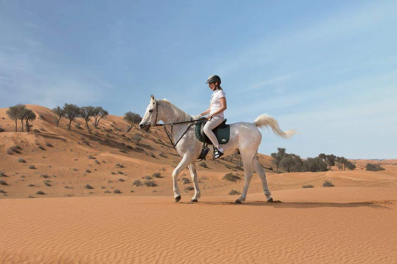 Horse Riding Experience in Ras Al Khaimah