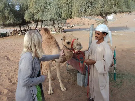 Camel Racing in Ras Al Khaimah