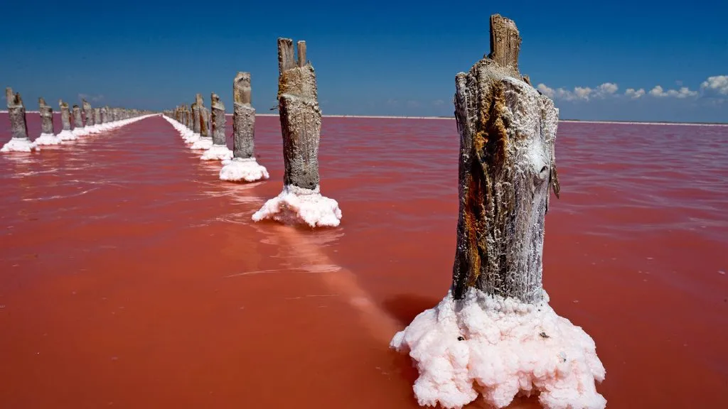 Sasyk-Sivash Lagoon, Russia