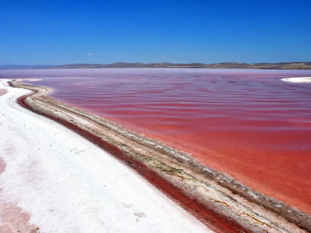 Tuz Golu Lake, Turkey Pink lake