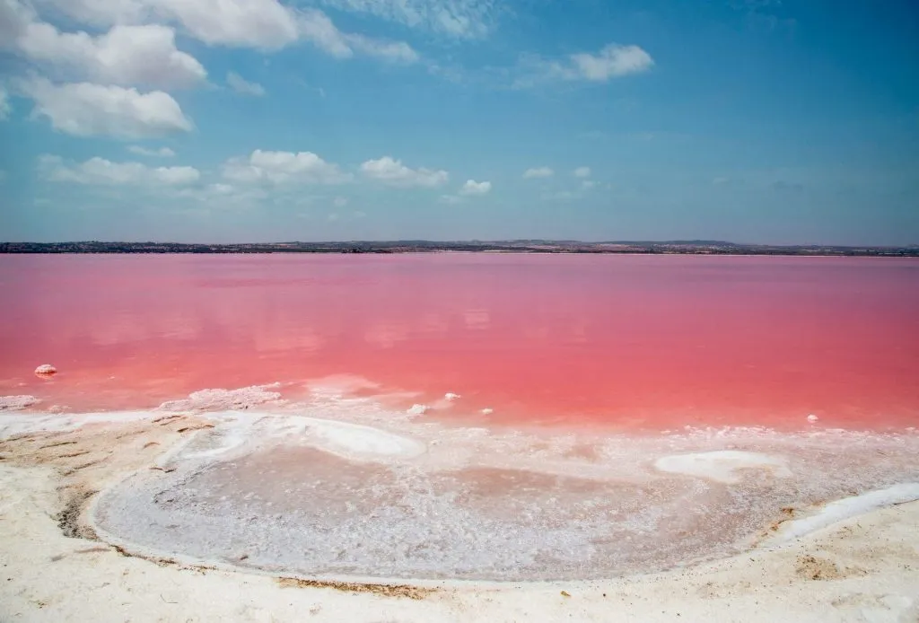 Las Salinas de Torrevieja, Spain Pink lake