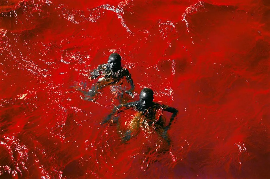 Lake Retba, Senegal Pink Lake