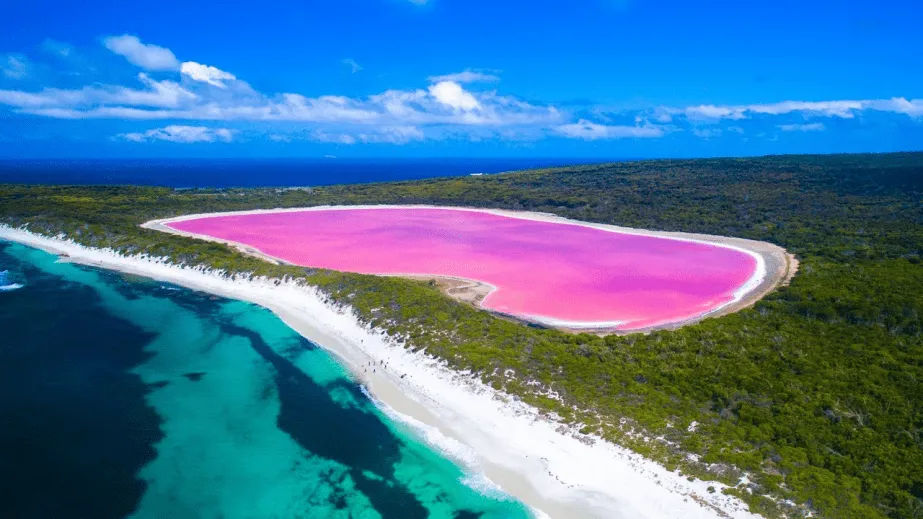 Lake Hilier Australia Pink lake