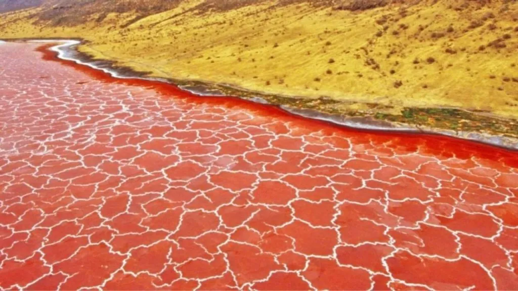 Lake Natron, Tanzania Pink Lake