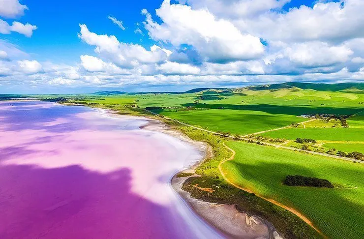Lake Bumbunga, Australia Pink Lake