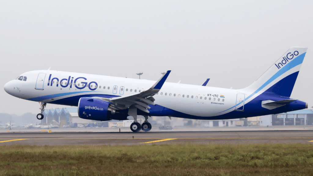 indigo flight