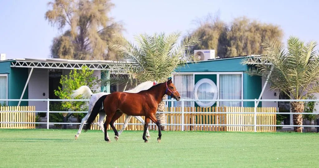 Anavrin: The latest Nirvana and wellness resort in Ras Al Khaimah