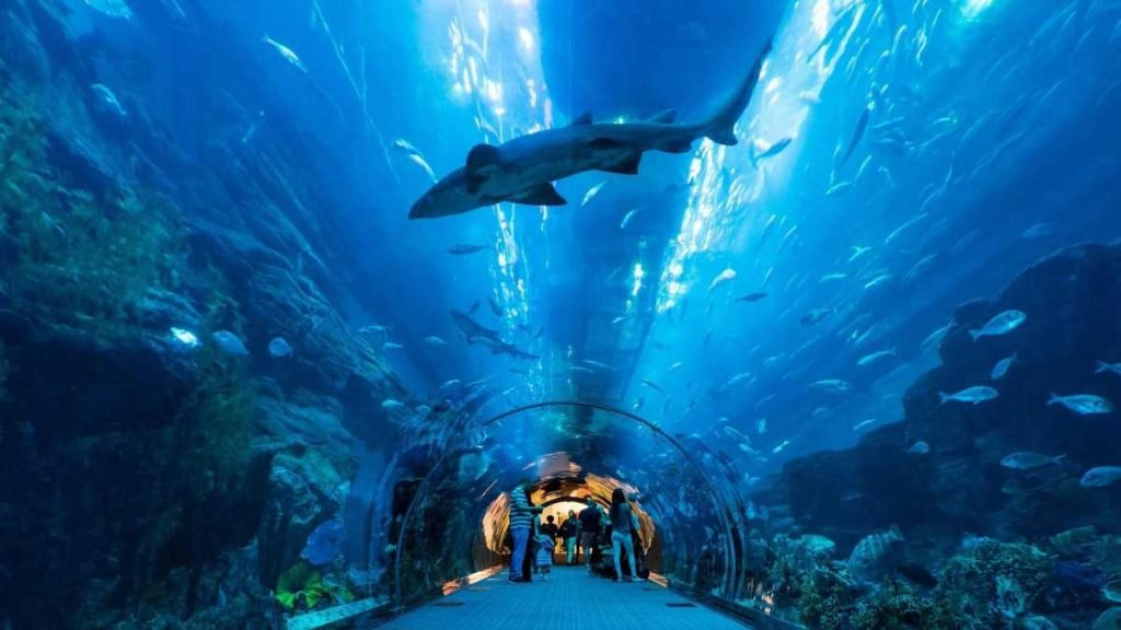 Dubai Mall - "Dubai Aquarium & Underwater Zoo