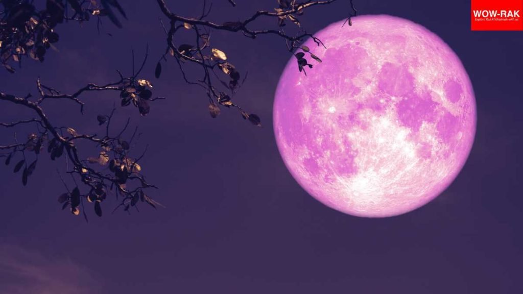 Witness 'Flower Moon' in Ras Al Khaimah