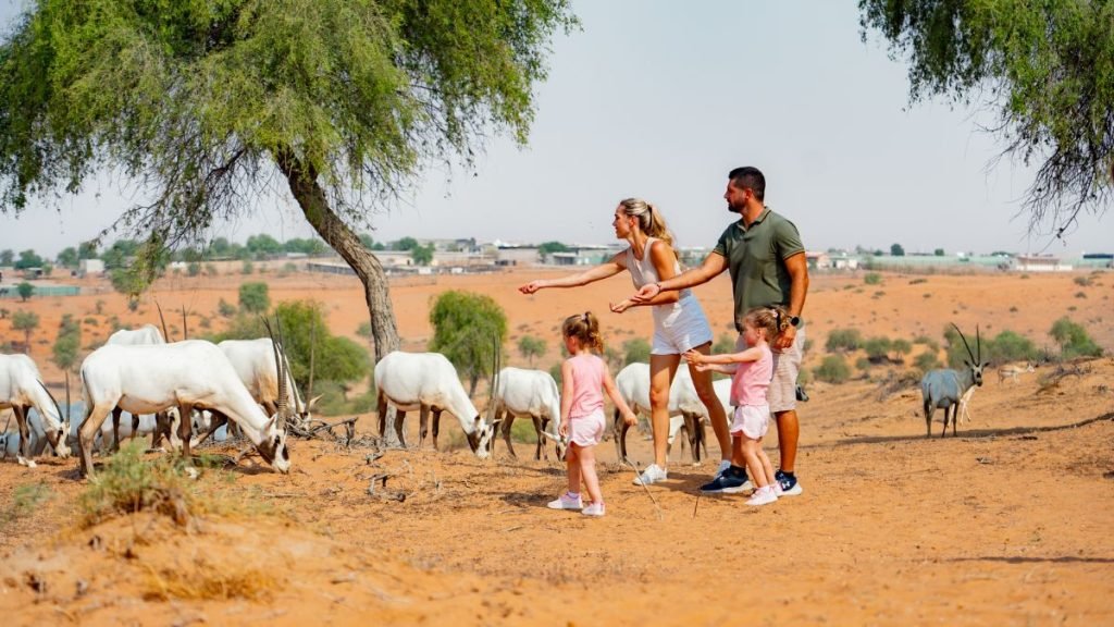 Sustainable Travel in Ras Al Khaimah