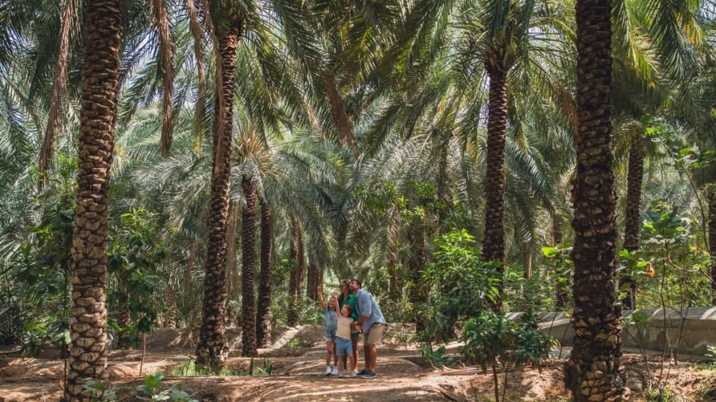 Sustainable Travel in Ras Al Khaimah