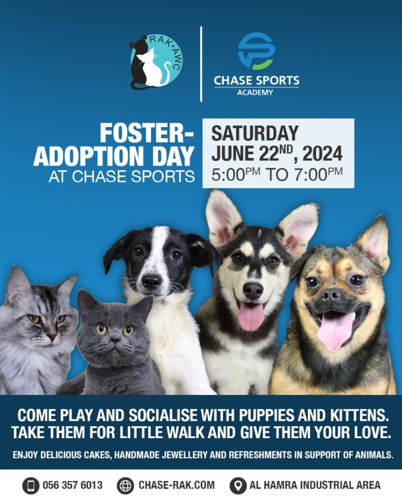 Foster Adoption Day at Chase Sports!