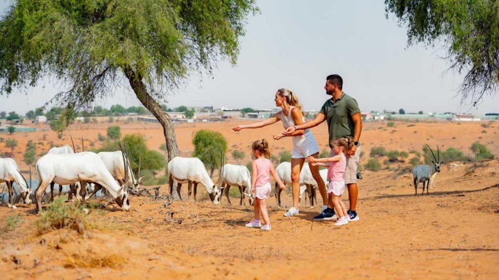 Embrace Nature with Ras Al Khaimah's Best Outdoor Season Yet