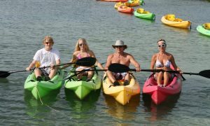 Mangrove Kayak in Ras Al Khaimah