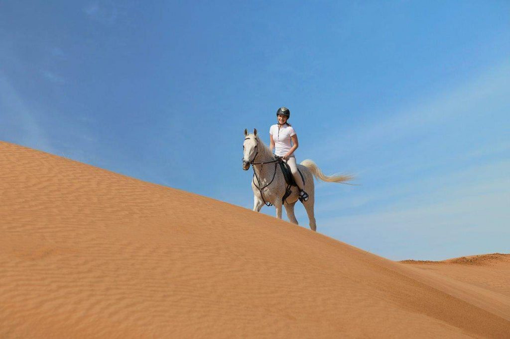 Horse Riding Experience in Ras Al Khaimah