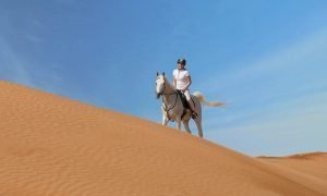 Horse Riding Experience in Ras Al Khaimah