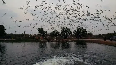 Khozam Family Park in Ras Al Khaimah