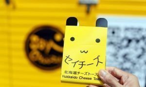 Saychiizu stretchable cheese toasts