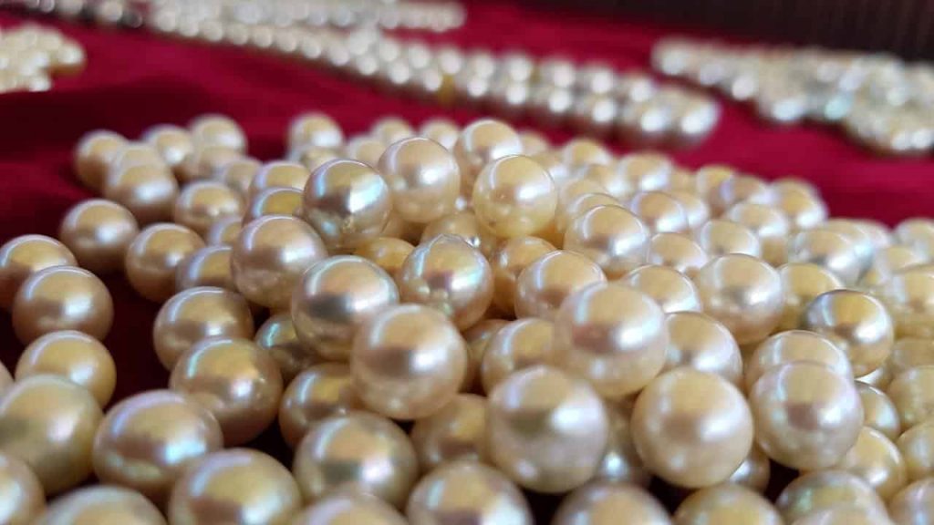 Suwaidi Arabian Pearls Farm Ras Al Khaimah