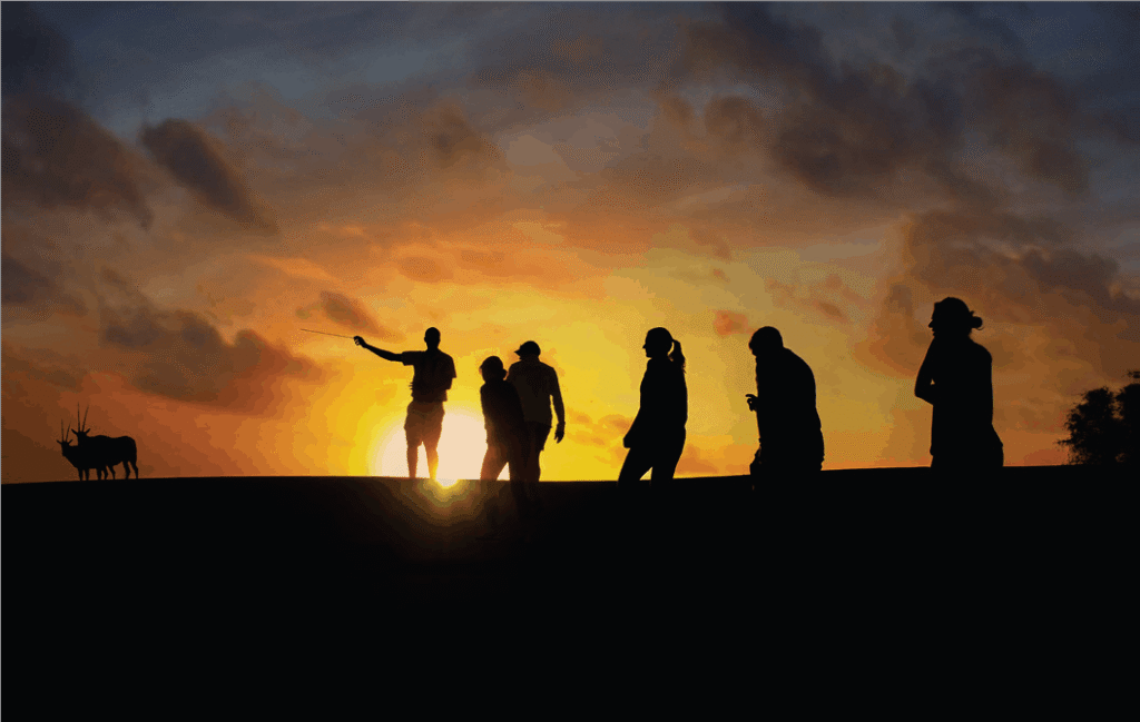 Night Desert Safari - Al Wadi Desert