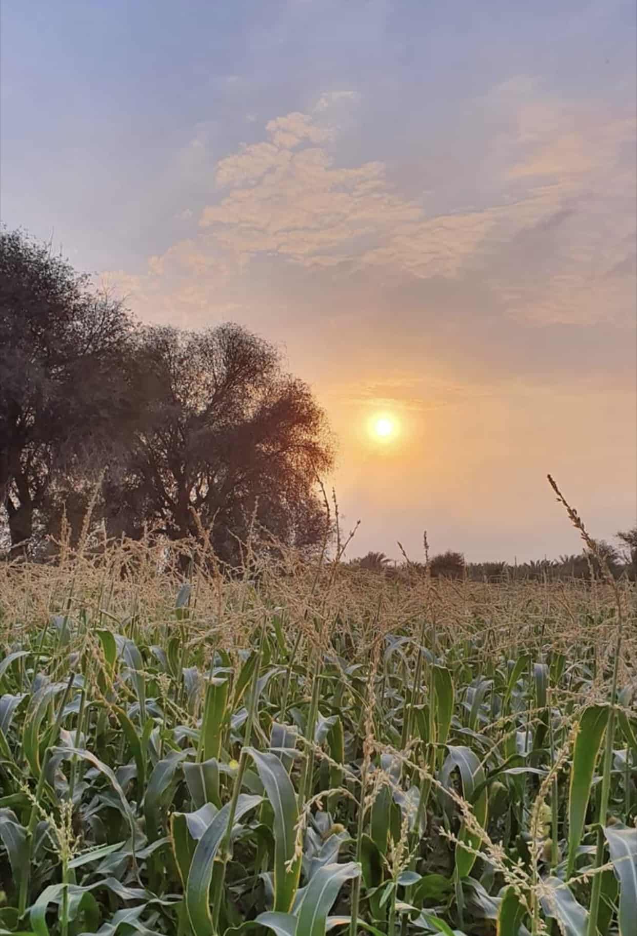 Treasure hunting in the laps of Ras Al Khaimah's Nature - WOW-RAK