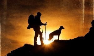 Hike with your dog: 2020 Human and K9 Ultimate Challenge is coming to RAK