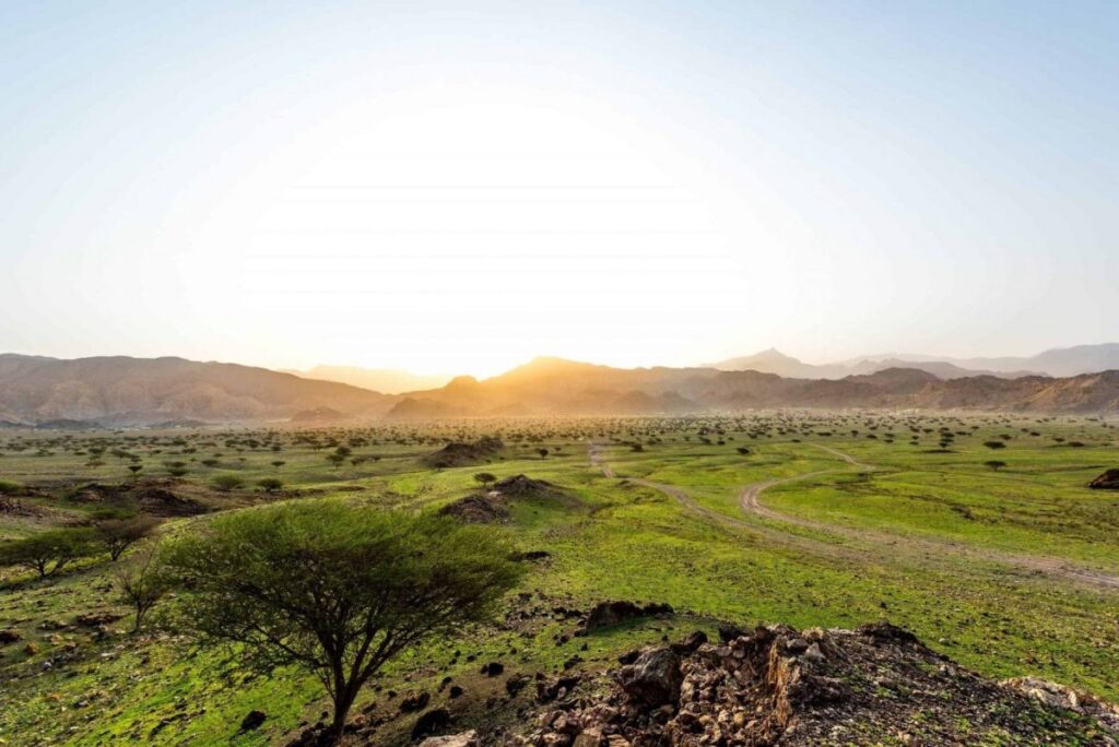 RAS AL KHAIMAH TOURISM DEVELOPMENT AUTHORITY UNVEILS SEVERAL SUPPORT INITIATIVES AIMED AT TOURISM INDUSTRY