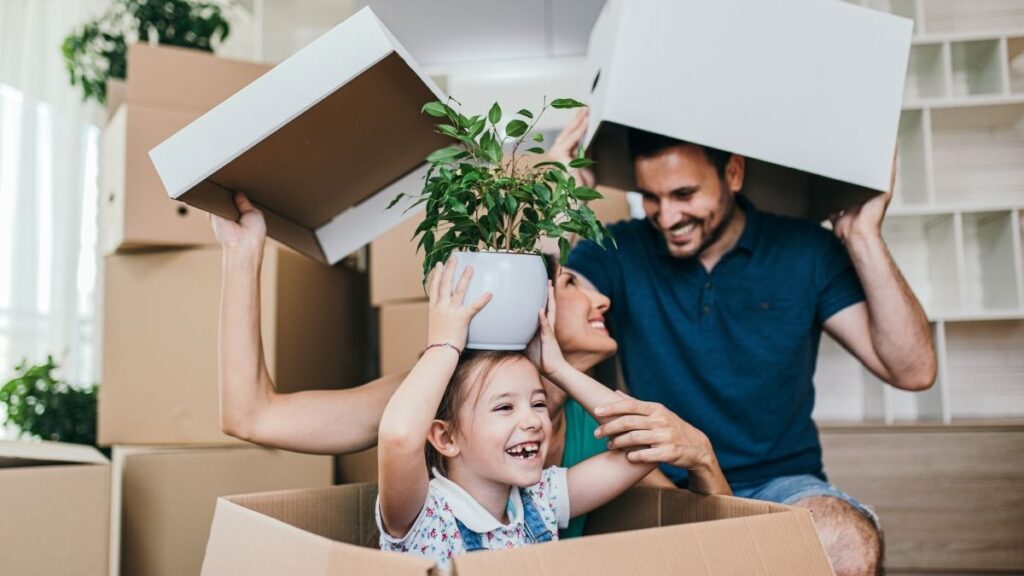 Ras Al Khaimah launches Green Financing Solutions