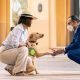 Hilton Ras Al Khaimah Beach Resort as it becomes the first five-star property to launch a series of dog-friendly rooms in the Emirate