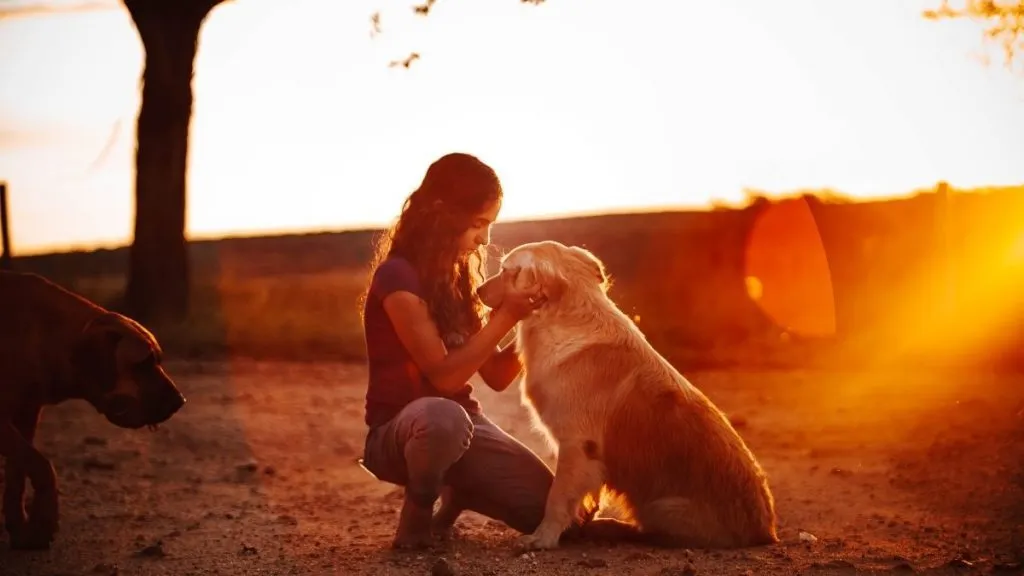 How to Adopt a Pet in the UAE and Other Relevant Rules?