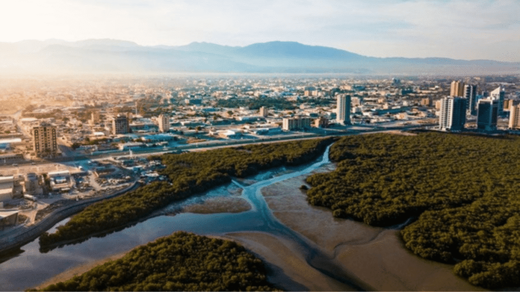 firm plan to shape future