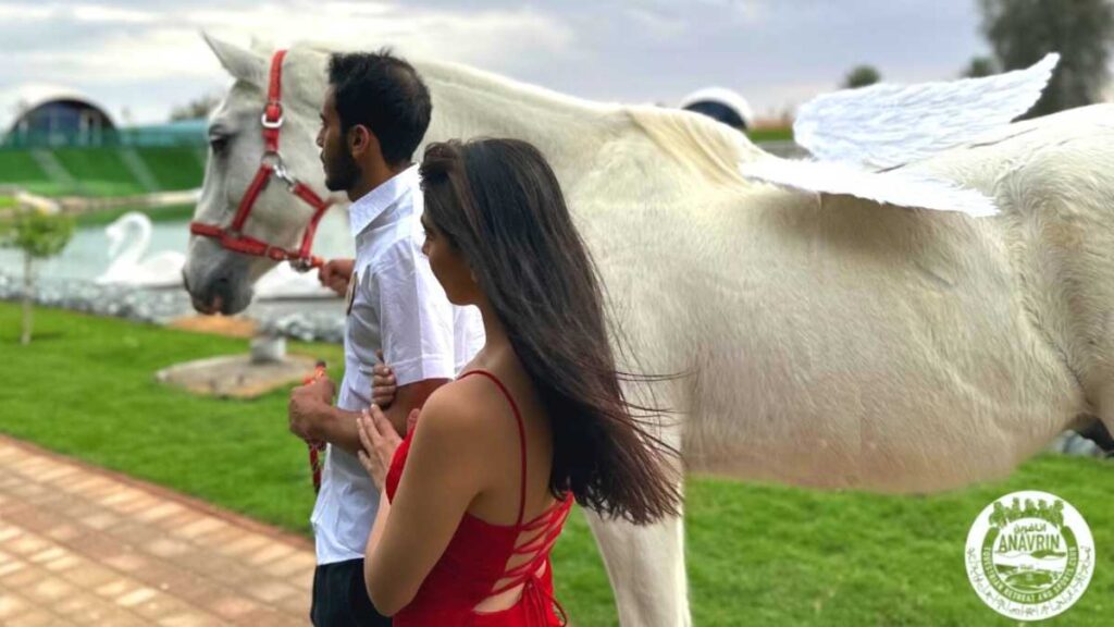 Anavrin Equestrian Retreat