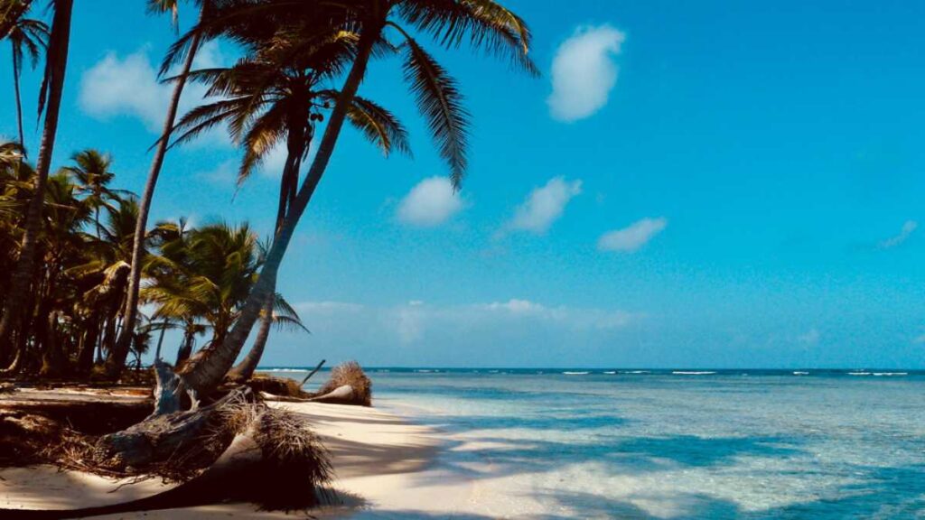 Discover the Eco-Friendly Travel Choices of Ras Al Khaimah Residents