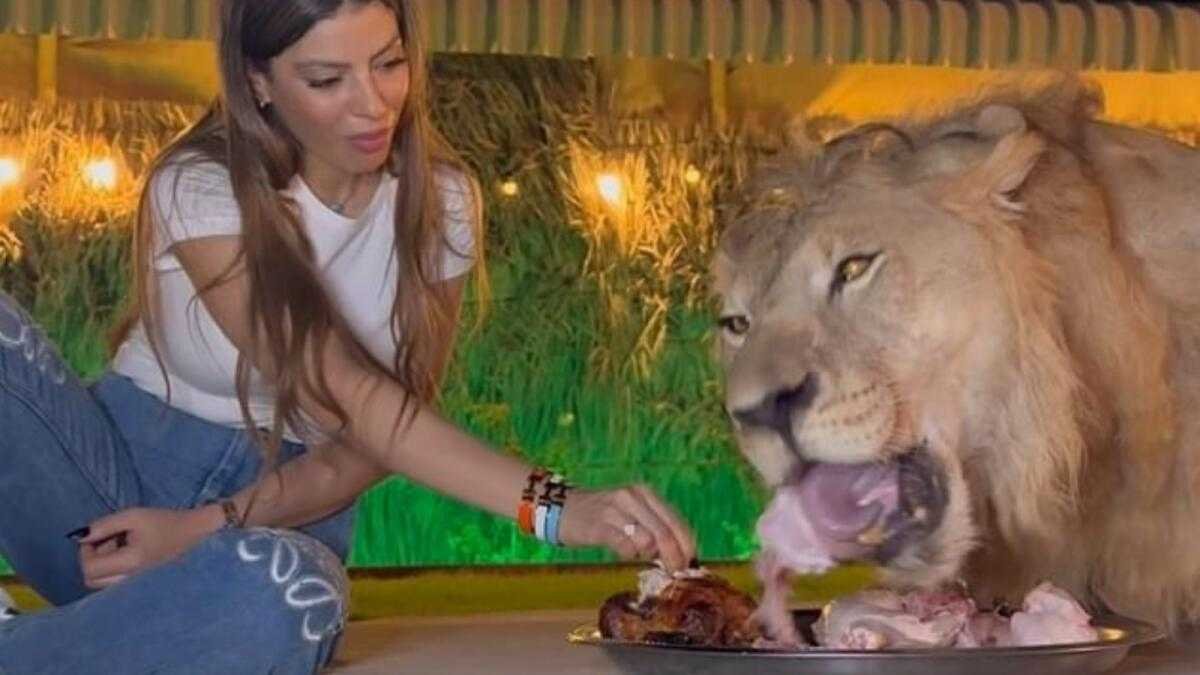 Viral Sensation: Unbelievable Encounter - Woman Shares Meal with Lion at Rak Zoo