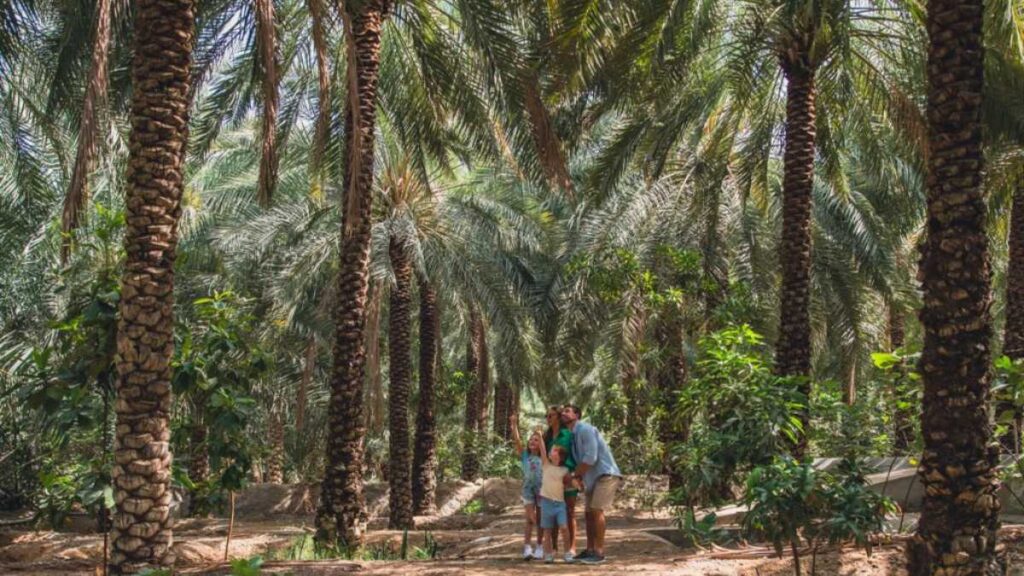 Ras Al Khaimah racks up another tourism award: This time for sustainability