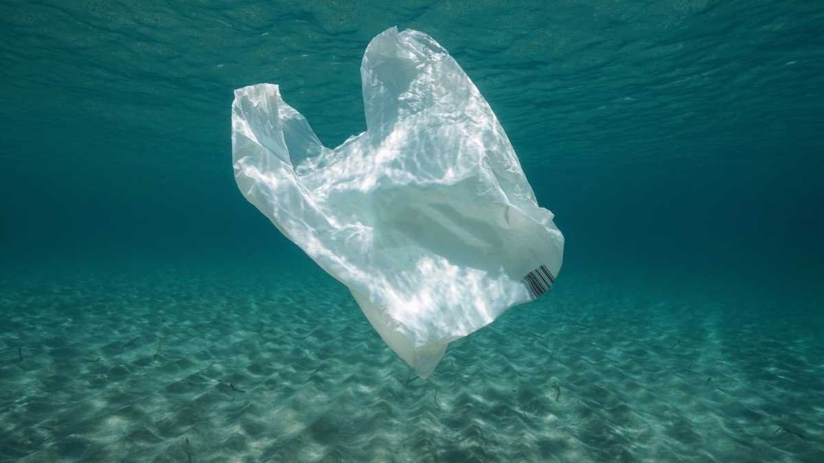 Ras Al Khaimah Says Goodbye to Plastic Bags!