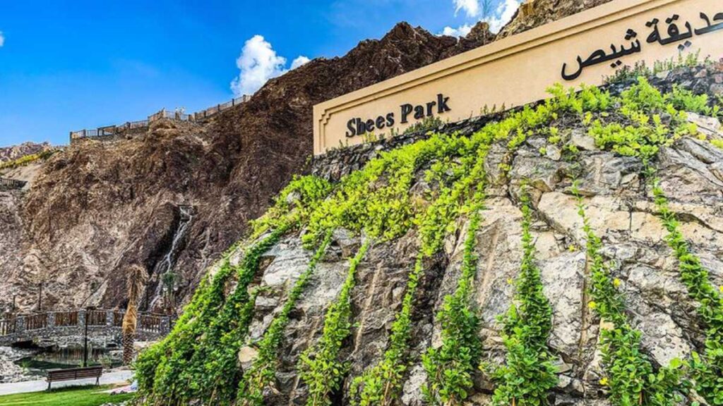 Shees Rest Area - all you need to know about Sharjah’s latest outdoor spot