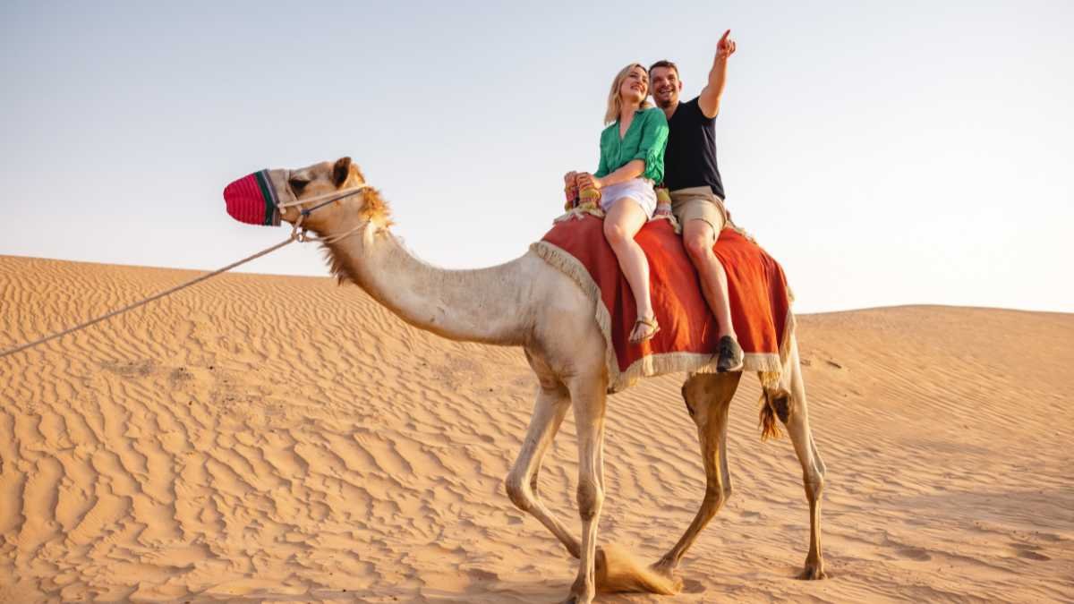 Adventurous Camel: This Local tour expert makes your stay memorable in RAK