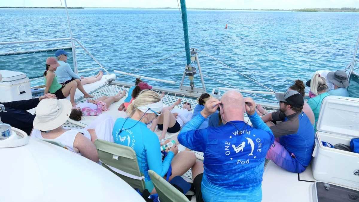 This RAK-based Company is Organising a Dolphin Retreat in the Bahamas