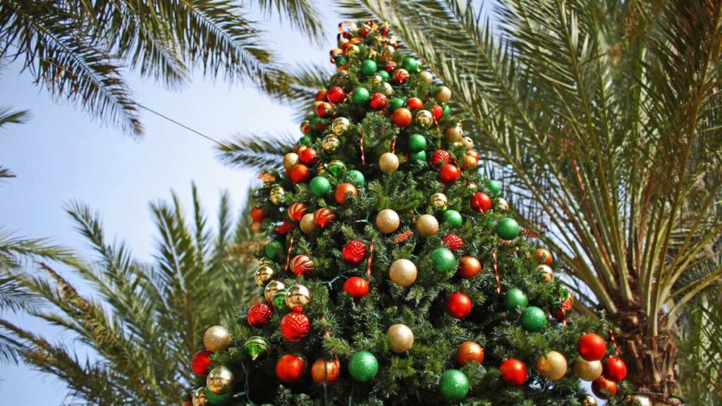 A December to Remember at InterContinental Ras Al Khaimah