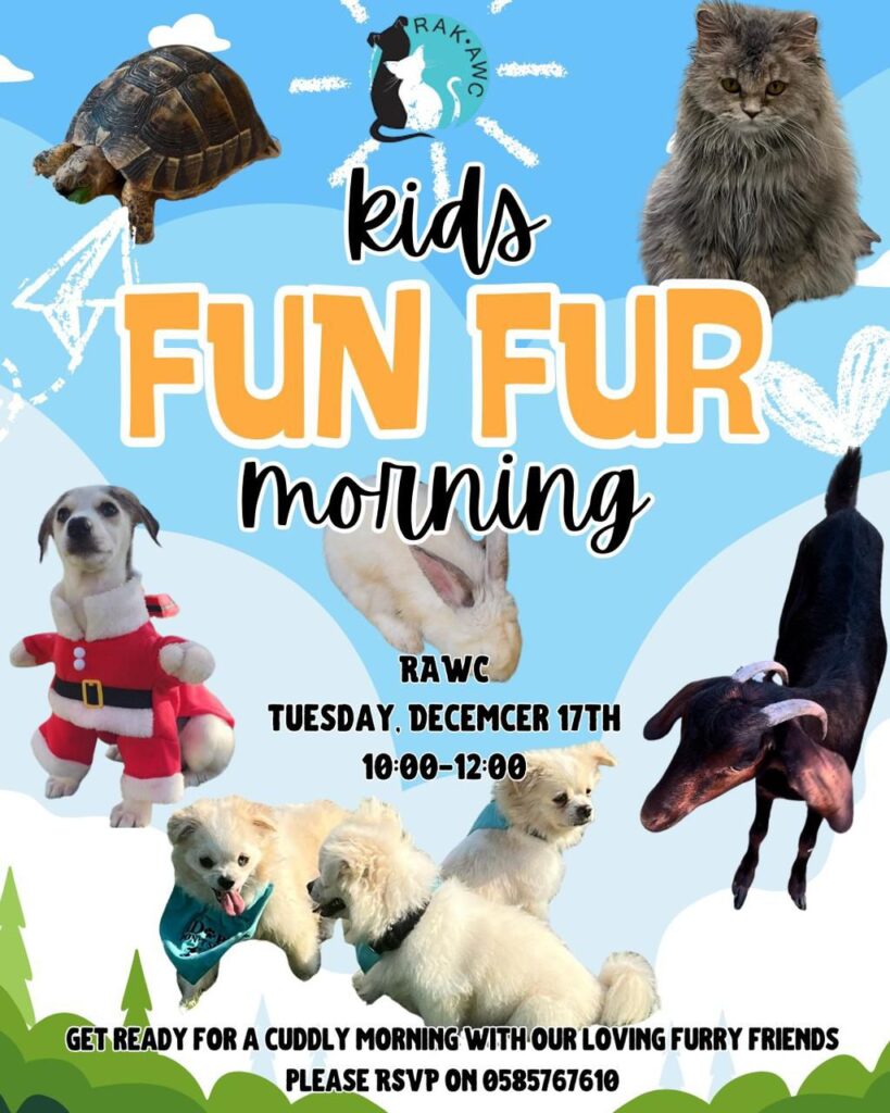 Kids Fun Fur Morning