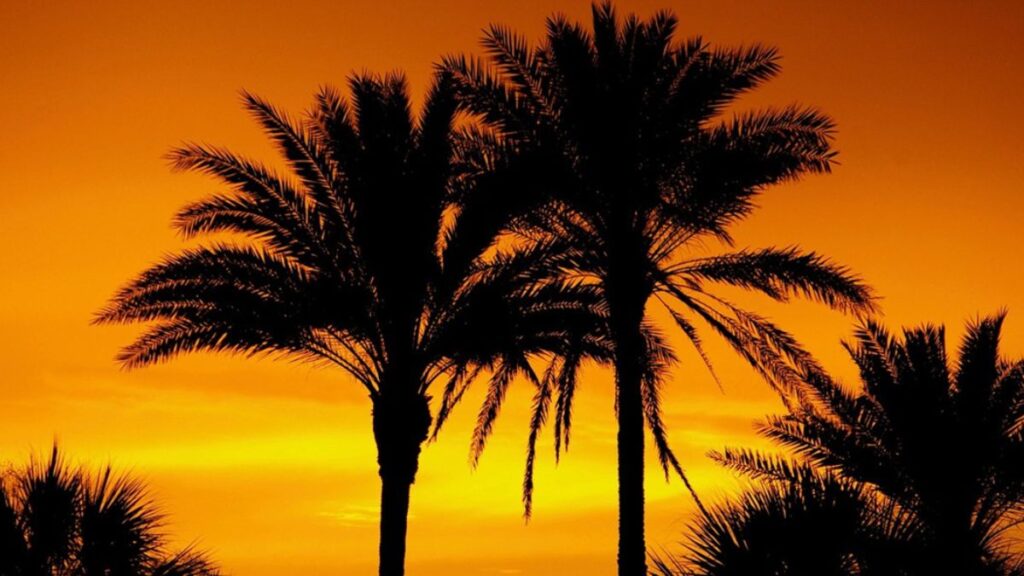 Love by the Gulf Most Romantic Valentine’s Experiences at InterContinental Ras Al Khaimah (9)