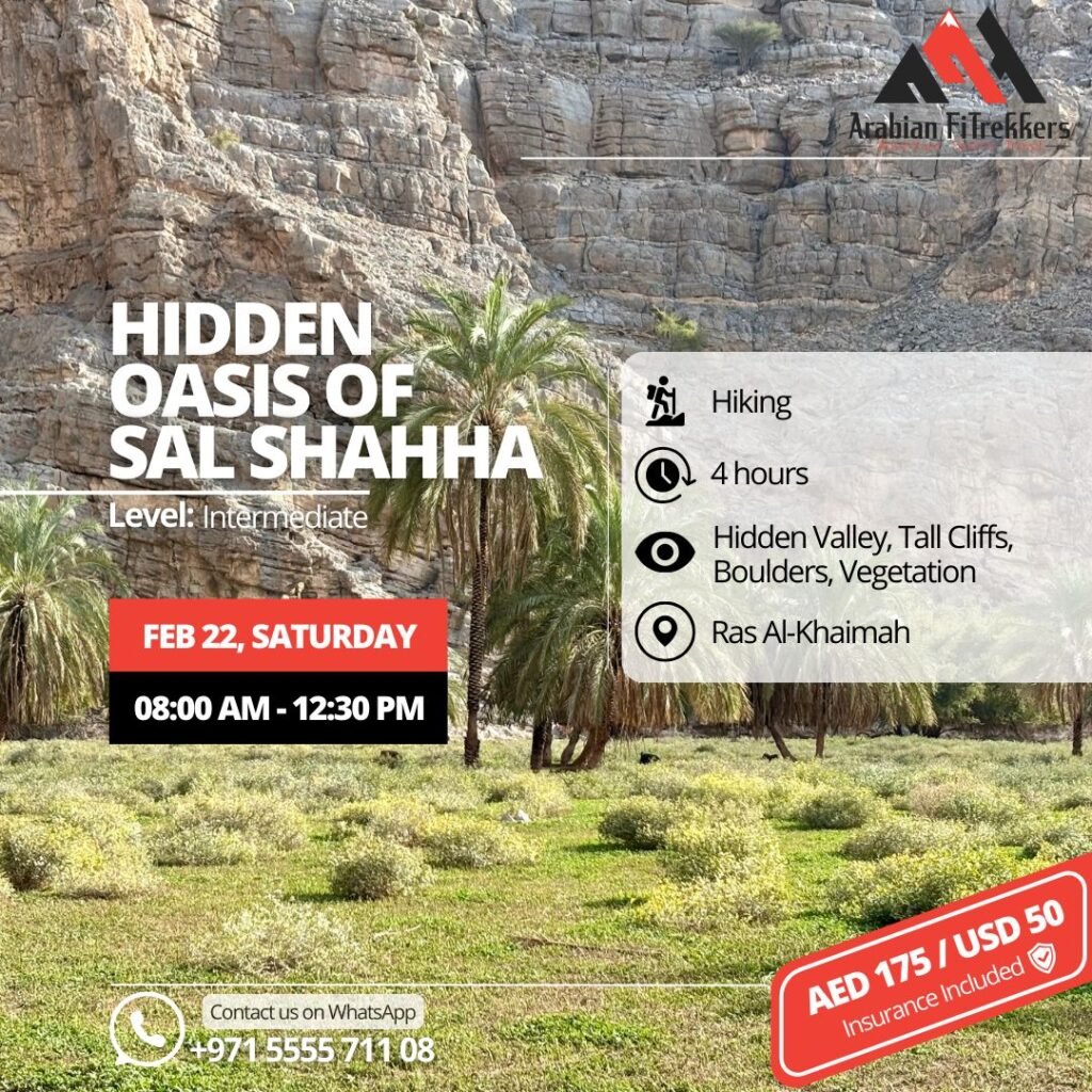 Hidden Oasis of Sal Shahha with Arabian FiTrekkers!