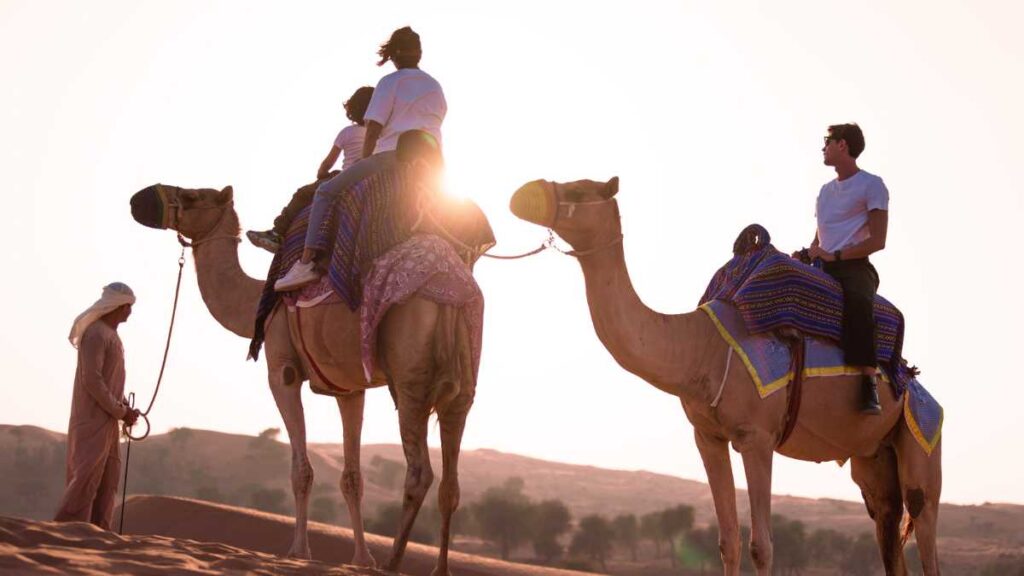 Latest offers at The Ritz-Carlton Ras Al Khaimah, Al Wadi Desert