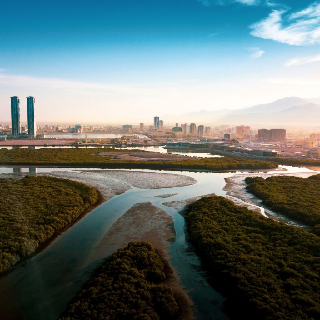 Ras Al Khaimah Natural Beauty: From Coast to Canyon