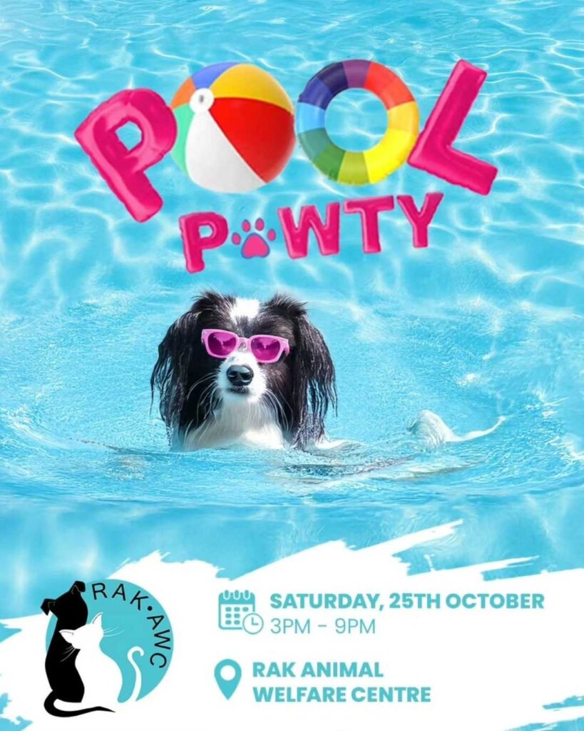 The Ultimate Doggy Day Out at RAK