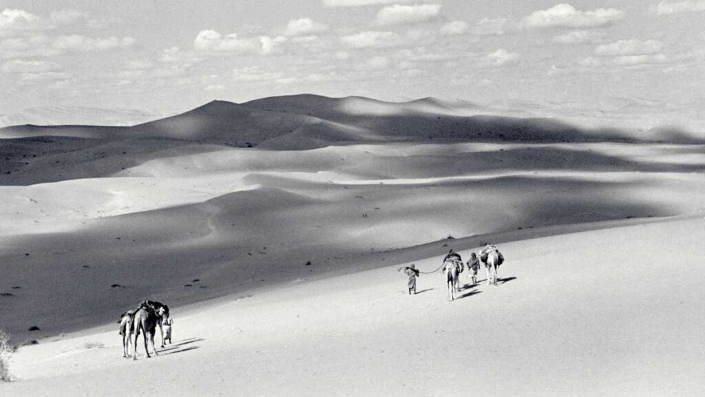 Celebrate UAE National Day at Rixos Al Mairid Ras Al Khaimah