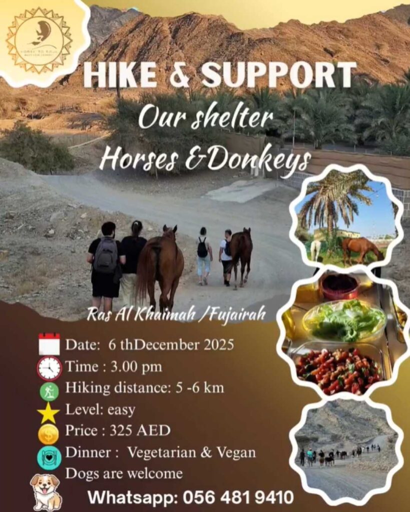RAK Charity Hike & Sports Day