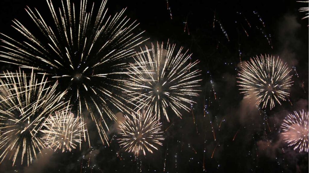 New Year Fireworks Showcase