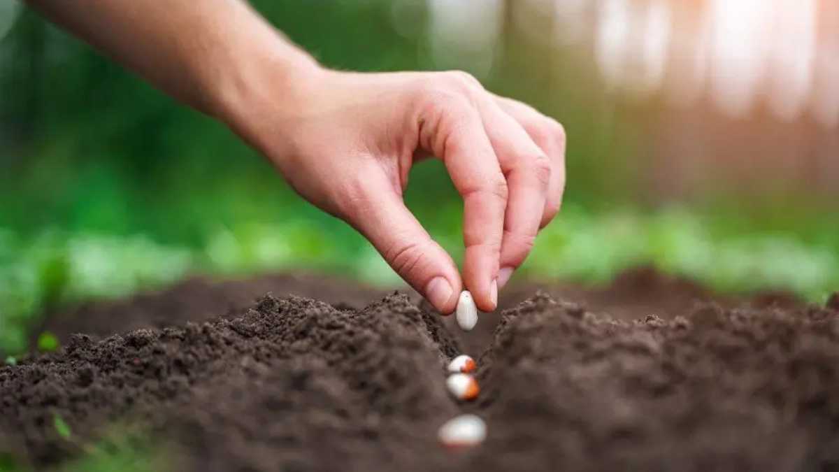 Creative Workshop at RAK Art Festival - WOW-RAK